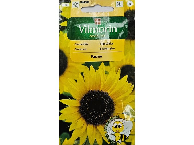 Slnečnica  Pacino Vilmorin