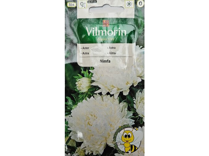 Astra Nimfa Vilmorin