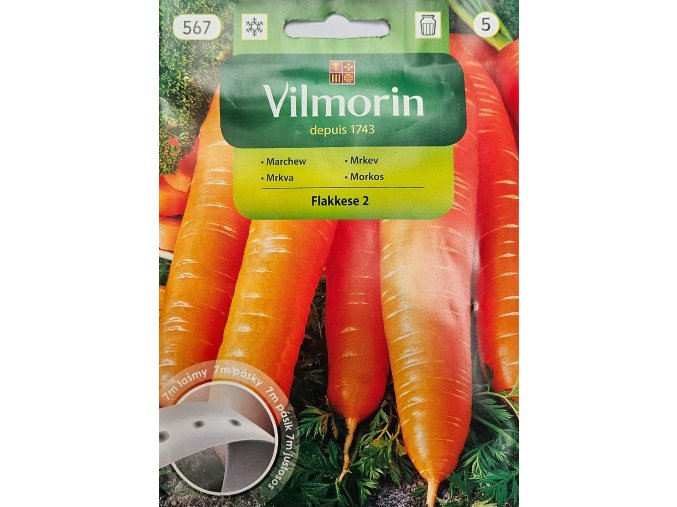 Mrkva Flakkese 2 pásik Vilmorin