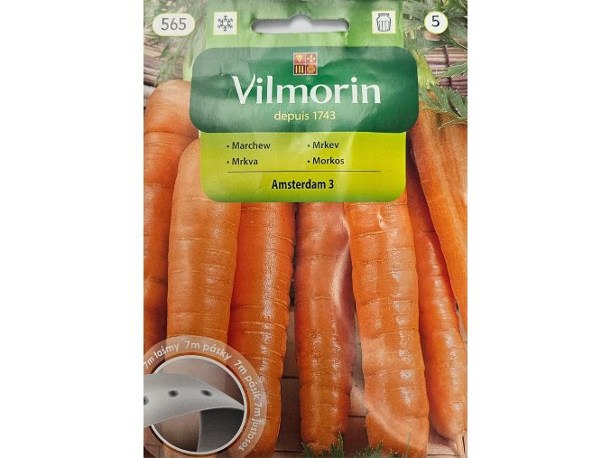 Mrkva Amsterdam 3 pásik Vilmorin