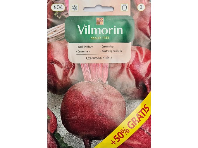 Cvikla Czerwona Kula Vilmorin