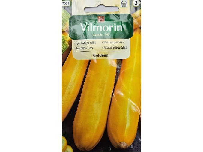 Cuketa Goldena Vilmorin