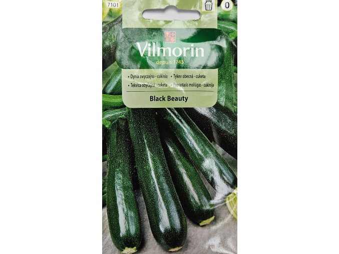 Cuketa Black Beauty Vilmorin