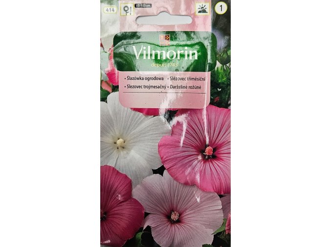 Slezovec Vilmorin