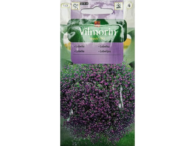 Lobelia Vilmorin