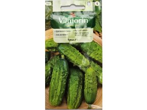 Uhorka Tytus F1 Vilmorin