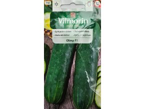Uhorka Olimp F1 Vilmorin