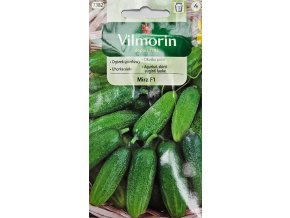 Uhorka Mira F1 Vilmorin