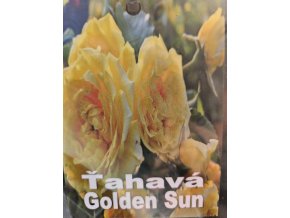 Ruža ťahavá Golden Sun 3l