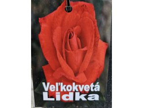 Ruža veľkokvetá Lidka