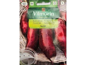 Cvikla Opolski 6m pásik Vilmorin