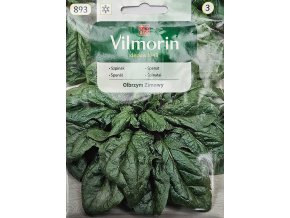 Špenát Olbrzym zimný Vilmorin