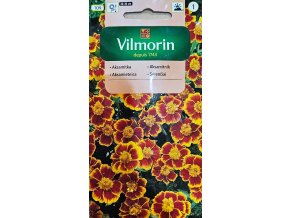 Aksamietnica Eliza Vilmorin
