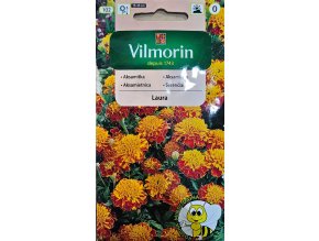 Aksamietnica Laura Vilmorin