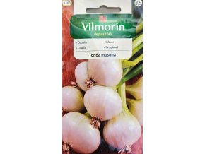 Cibuľa Tonda Musona Vilmorin