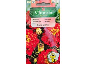 Aksamietnica Bonita Carmen Vilmorin