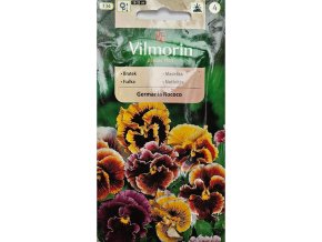 Fialka Germania Rocco Vilmorin