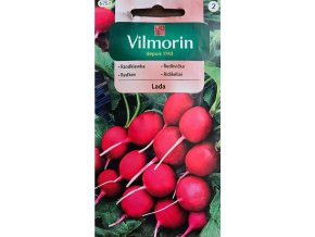 Reďkovka Lada Vilmorin