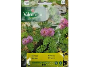 Mimóza Vilmorin