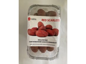Zemiaky Red Scarlet vanička