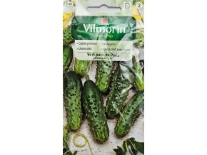 Uhorka Vert petit de Paris Vilmorin