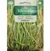 Vigna čínska Vilmorin