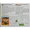Uhorka Regina F1 Vilmorin