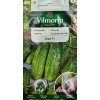 Uhorka Cezar F1 Vilmorin