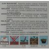 Baklažán Zmes farieb Semo