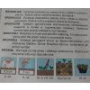 Brokolica Calabrese Semo
