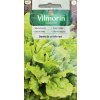 Šalát krehký Dorée de printemps Vilmorin