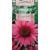 Rudbekia purpurová Vilmorin
