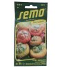 ei 17381545149755420594966282146454 removebg preview