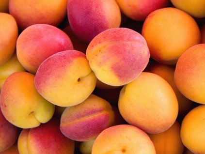 Marhuľa stĺpovitá 'Golden Sun' - k stĺpovitému zapestovaniu