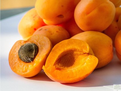 Marhuľa 'Radka' (Balenie prostokorenný stromček, Podpník myrobalán)