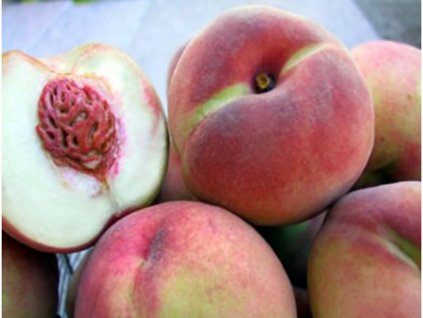 Broskyňa 'Maria Bianca'