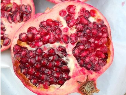 Granátové jablko 'Hicaz'