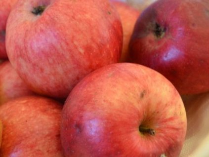 Jabloň 'Ruhm aus Kirchwerder'