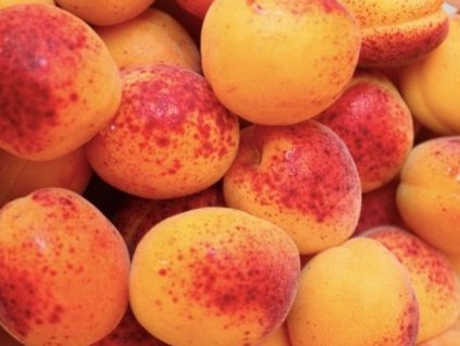 Marhuľa 'Rouge de Roussillon'