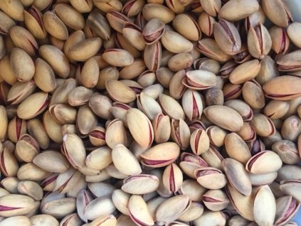 Pistácia 'Aegina'