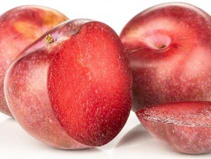 Slivkomarhuľa 'Krasnaja Strela'