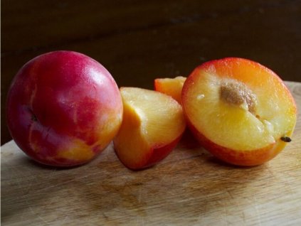 Slivkomarhuľa 'Pluot Geltiy'