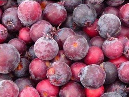 pink fruit