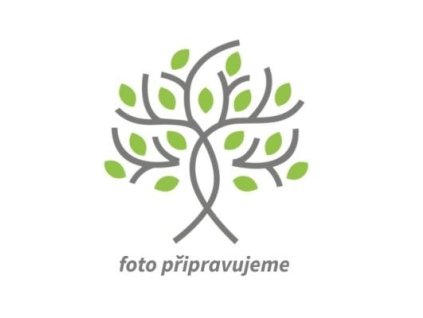 Drieň striedavolistý 'Yama-buki'