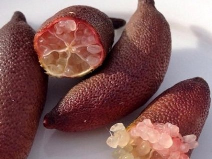 Austrálska limetka, kaviárový citrus 'Rosso'