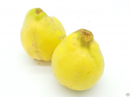 Dula 'Darunok Onuku'