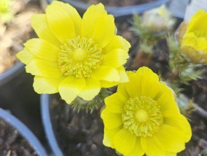 20260402 095512 resized