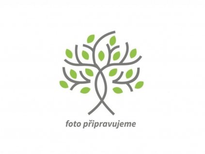 Flox ´Goliath´ - Phlox amplifolia ´Goliath´