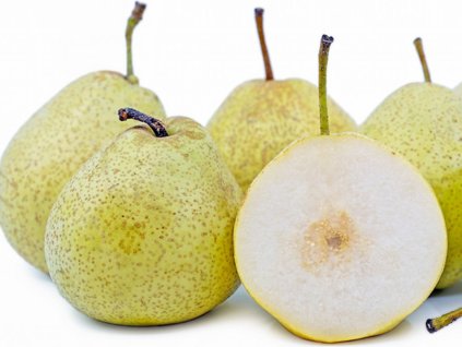 Ázijská hruška 'Shin Li' - kontajner