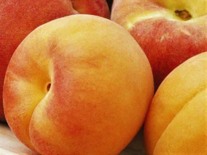 Broskyňa 'Redhaven Bianca'